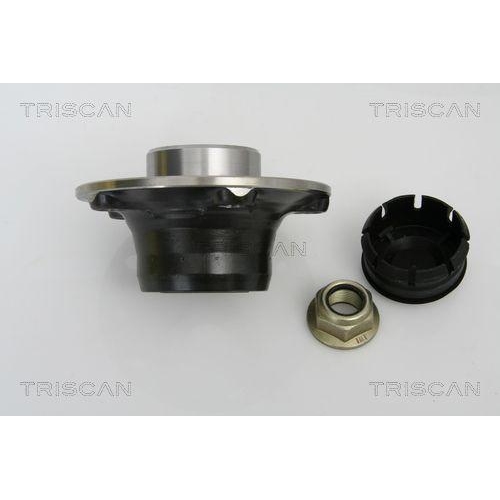Radlagersatz TRISCAN 8530 25248 f&uuml;r RENAULT, Hinterachse