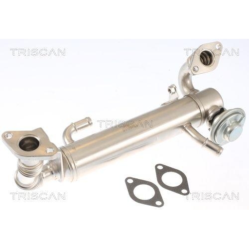 AGR-Ventil TRISCAN 8813 15074 f&uuml;r IVECO