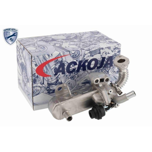 ACKOJA A38-63-0004 AGR-Modul EXPERT KITS + f&uuml;r NISSAN