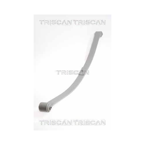 Federnpaket TRISCAN 8765 29020 f&uuml;r VW, Hinterachse