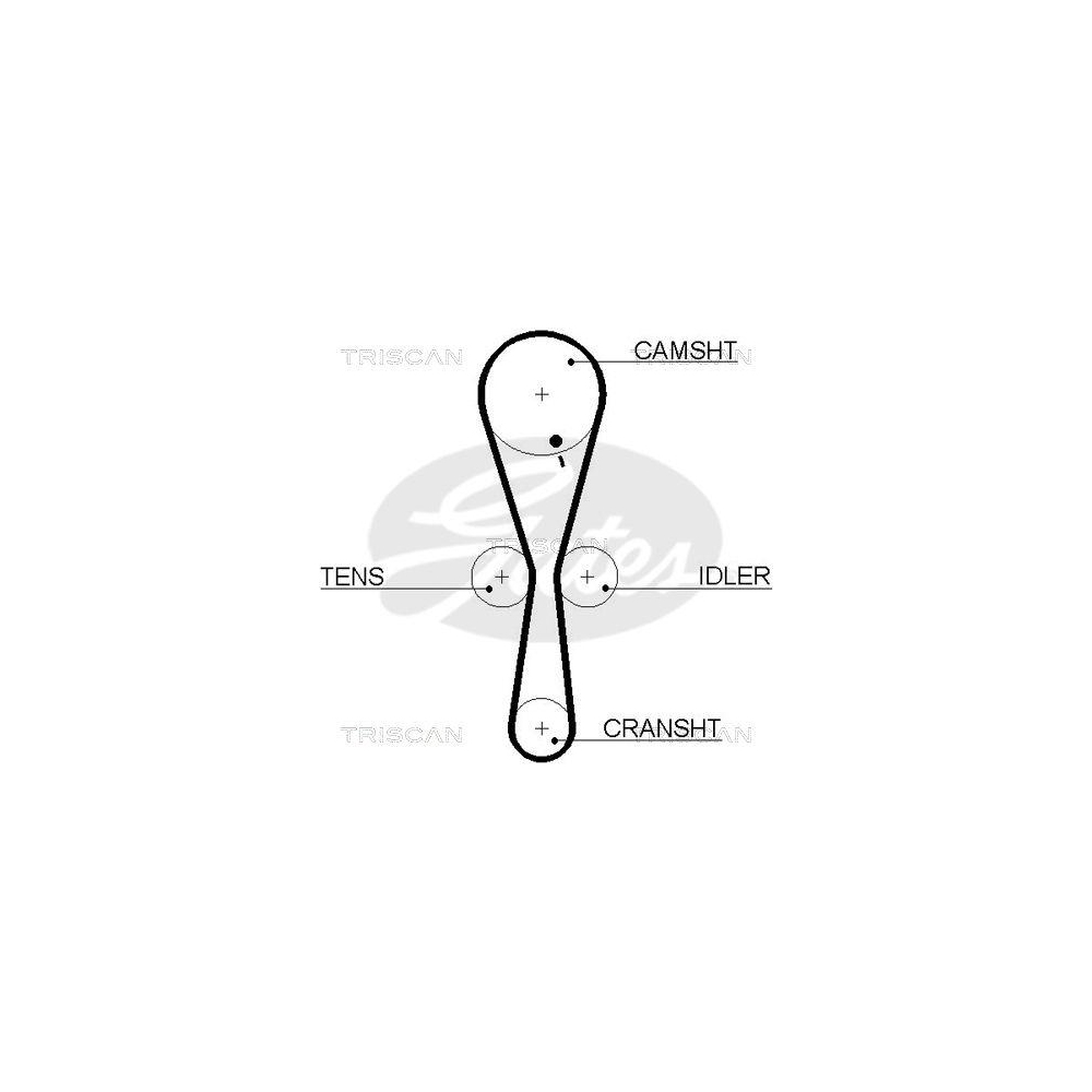 Zahnriemen TRISCAN 8645 5547xs f&uuml;r AUSTIN MG MORRIS ROVER TRIUMPH LAND ROVER