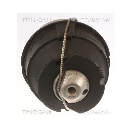 Lagerung, Motor TRISCAN 8505 27103 f&uuml;r VOLVO, hinten, links, unten
