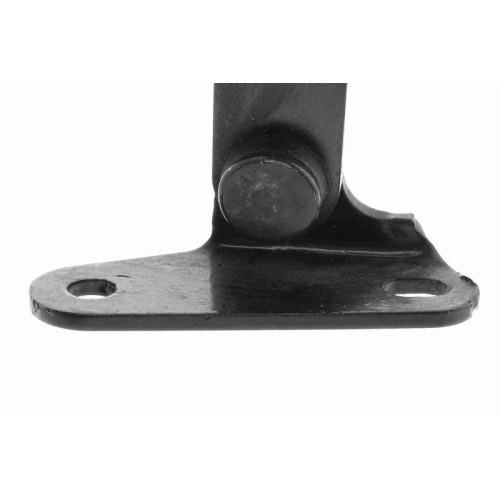 ACKOJA A70-0183 Gasfeder, Koffer-/Laderaum Original ACKOJA Qualit&auml;t f&uuml;r TOYOTA