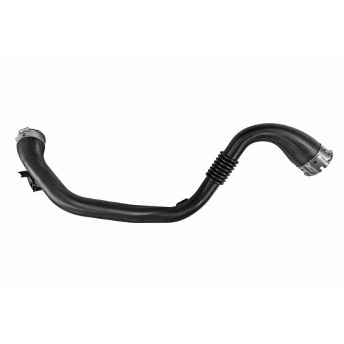 VAICO V46-1556 Ladeluftschlauch Original VAICO Qualit&auml;t f&uuml;r RENAULT DACIA