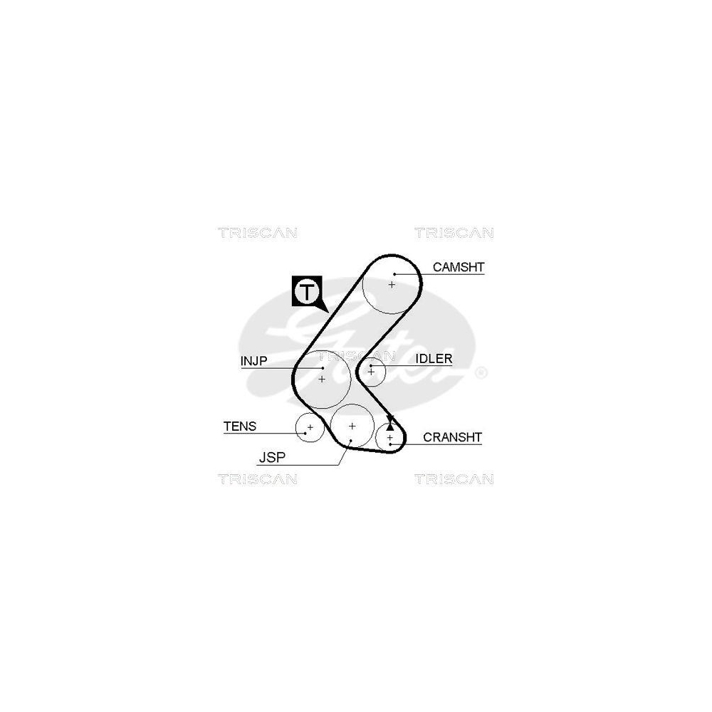 Zahnriemen TRISCAN 8645 5193xs für DANA