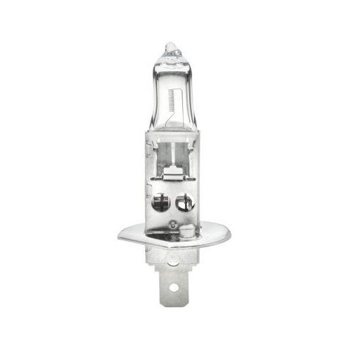 HELLA Gl&uuml;hlampe 8GH 002 089-133 STANDARD f&uuml;r AEBI ALFA ROMEO AUDI DAF FIAT IVECO