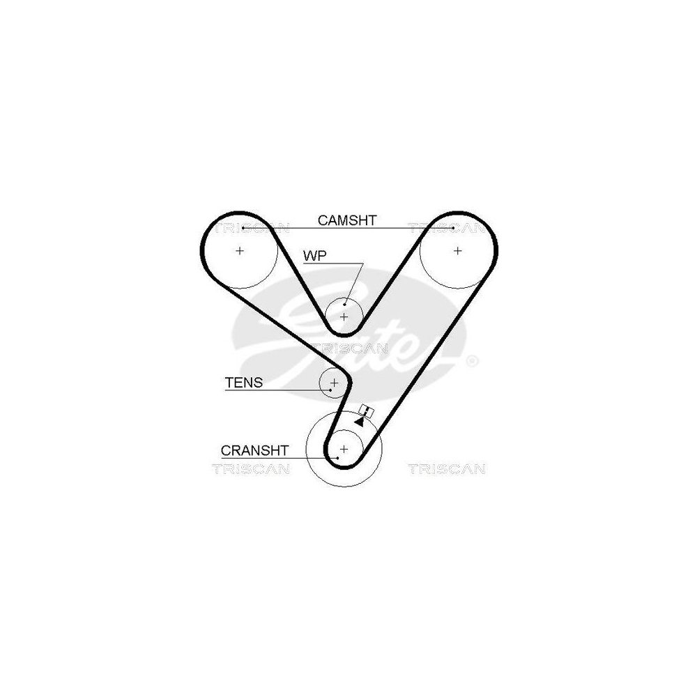 Zahnriemen TRISCAN 8645 5208xs für DANA