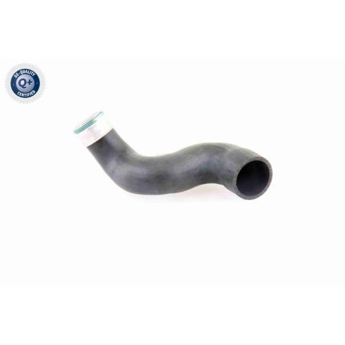 Ladeluftschlauch VAICO V10-3825 Q+, Erstausrüsterqualität für AUDI SEAT SKODA VW