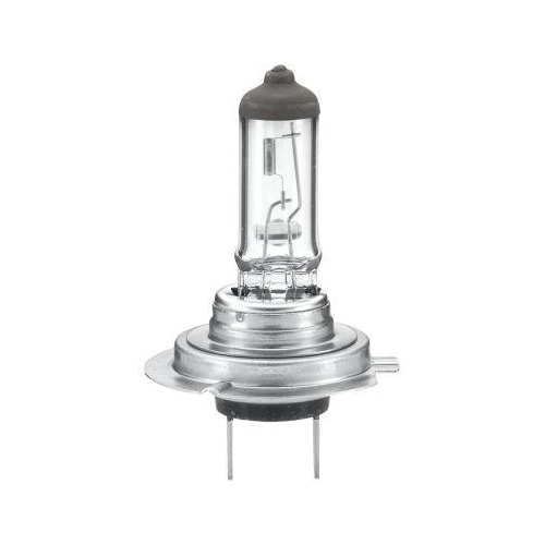 HELLA Gl&uuml;hlampe 8GH 007 157-231 HEAVY DUTY EXPERT f&uuml;r DAF MAN SOLARIS VDL