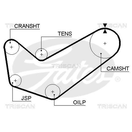 Zahnriemen TRISCAN 8645 5218 für DANA, rechts