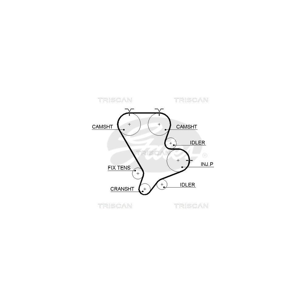Zahnriemen TRISCAN 8645 5554xs für