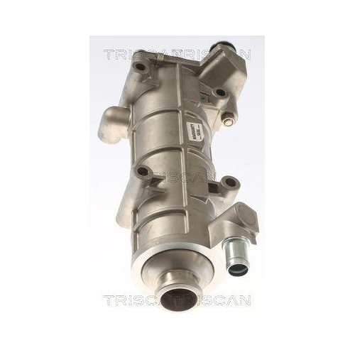 K&uuml;hler, Abgasr&uuml;ckf&uuml;hrung TRISCAN 8813 10117 f&uuml;r CITRO&Euml;N IVECO PEUGEOT