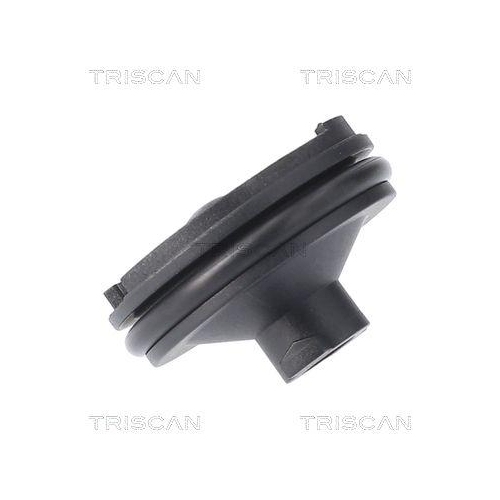 Verschlussschraube, Ölwanne TRISCAN 9500 1023 für CITROËN FORD OPEL PEUGEOT