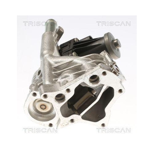 AGR-Ventil TRISCAN 8813 10118 für JAGUAR LAND ROVER, links