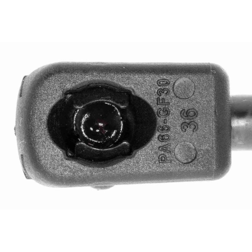 Gasfeder, Koffer-/Laderaum VAICO V10-1934 Original VAICO Qualit&auml;t f&uuml;r AUDI SEAT