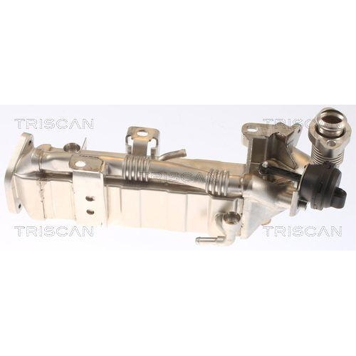 K&uuml;hler, Abgasr&uuml;ckf&uuml;hrung TRISCAN 8813 11021 f&uuml;r BMW HITACHI