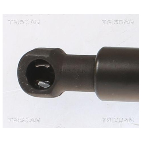 Gasfeder, Koffer-/Laderaum TRISCAN 8710 112017 f&uuml;r BMW, hinten links