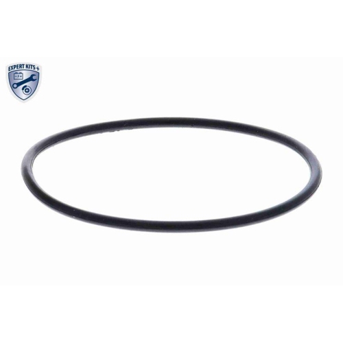 Thermostat, K&uuml;hlmittel VEMO V20-99-0171 EXPERT KITS + f&uuml;r BMW