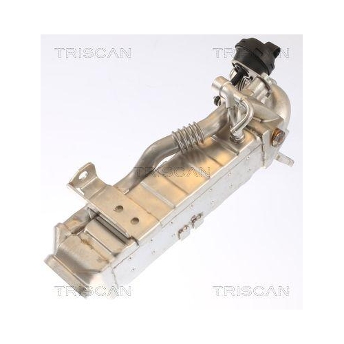 K&uuml;hler, Abgasr&uuml;ckf&uuml;hrung TRISCAN 8813 11022 f&uuml;r BMW