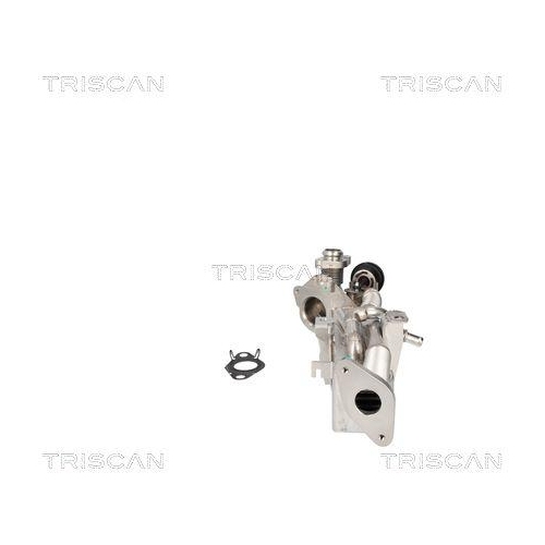 K&uuml;hler, Abgasr&uuml;ckf&uuml;hrung TRISCAN 8813 11024 f&uuml;r BMW