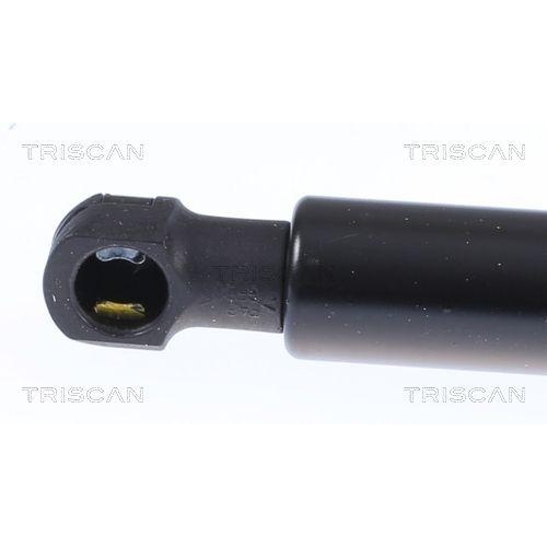 Gasfeder, Koffer-/Laderaum TRISCAN 8710 28300 für PEUGEOT, hinten links
