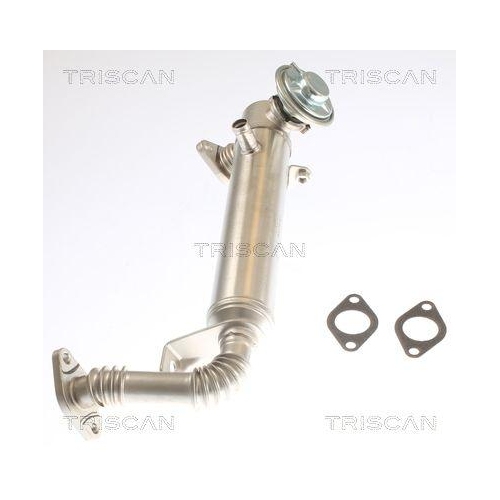 K&uuml;hler, Abgasr&uuml;ckf&uuml;hrung TRISCAN 8813 15075 f&uuml;r FIAT