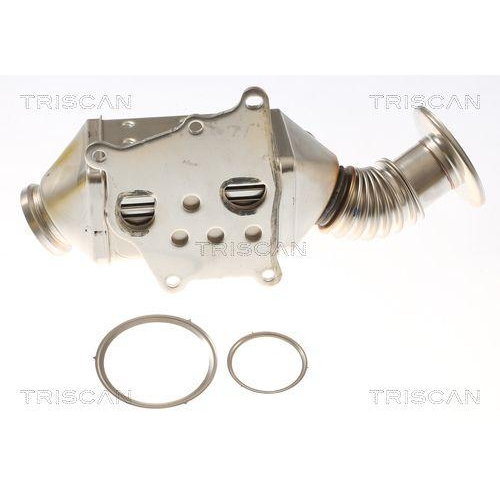 Kühler, Abgasrückführung TRISCAN 8813 15077 für FIAT
