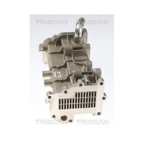 Kühler, Abgasrückführung TRISCAN 8813 15078 für IVECO