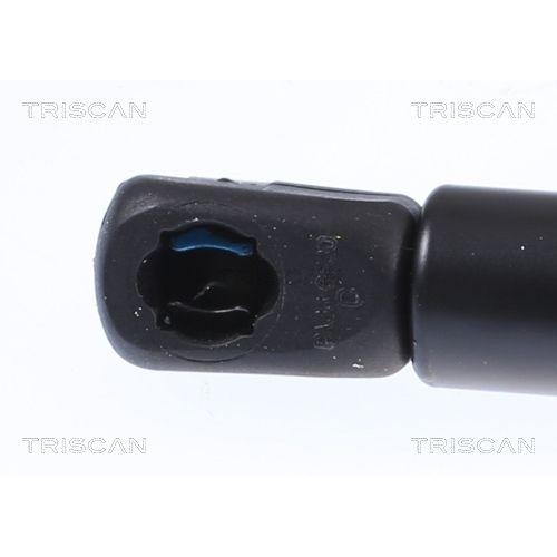 Gasfeder, Motorhaube TRISCAN 8710 29151 für AUDI, vorne links, vorne rechts