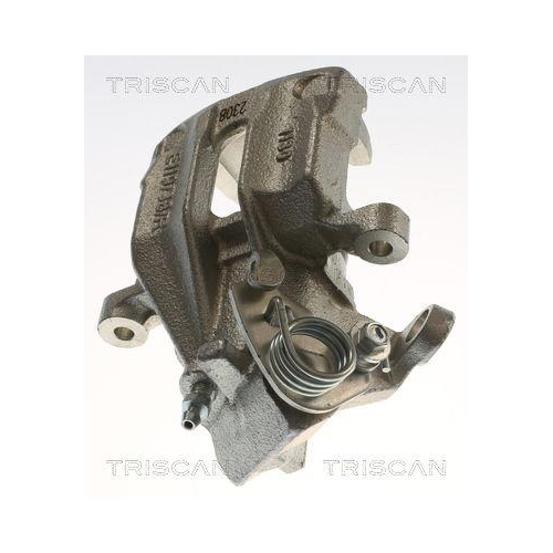 Bremssattel TRISCAN 8175 29272 f&uuml;r AUDI PEUGEOT SEAT SKODA VW, hinter der Achse
