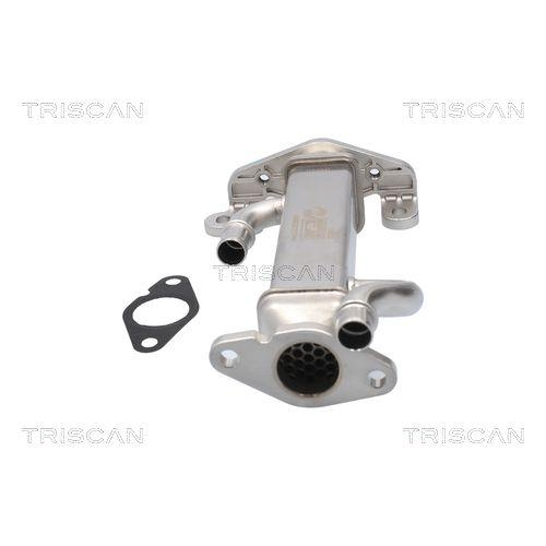 Kühler, Abgasrückführung TRISCAN 8813 15080 für IVECO