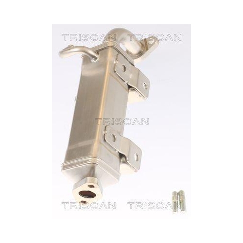 K&uuml;hler, Abgasr&uuml;ckf&uuml;hrung TRISCAN 8813 16072 f&uuml;r FORD USA