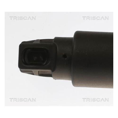 Gasfeder, Koffer-/Laderaum TRISCAN 8710 11303 für BMW, hinten links