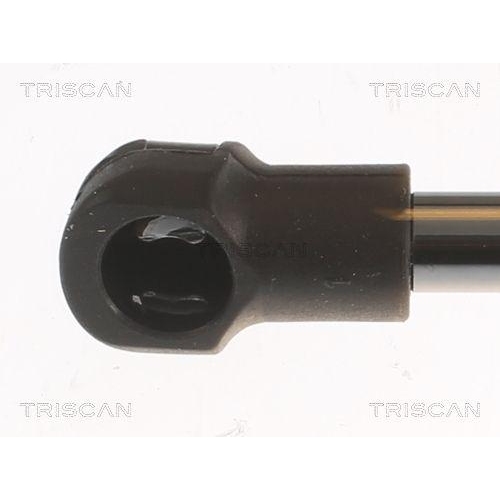 Gasfeder, Koffer-/Laderaum TRISCAN 8710 25283 für RENAULT, hinten links