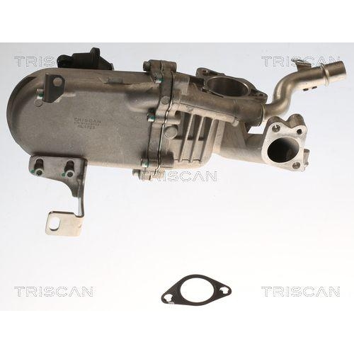 K&uuml;hler, Abgasr&uuml;ckf&uuml;hrung TRISCAN 8813 16115 f&uuml;r FORD