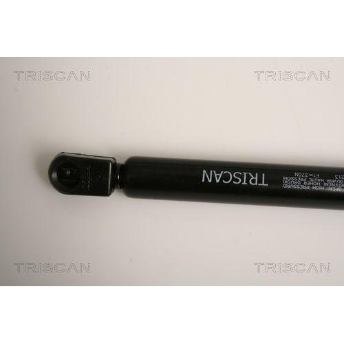 Gasfeder, Koffer-/Laderaum TRISCAN 8710 17213 für ROVER