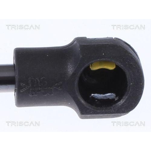 Gasfeder, Koffer-/Laderaum TRISCAN 8710 292055 für AUDI, hinten links