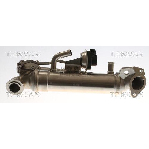 K&uuml;hler, Abgasr&uuml;ckf&uuml;hrung TRISCAN 8813 16116 f&uuml;r FORD USA