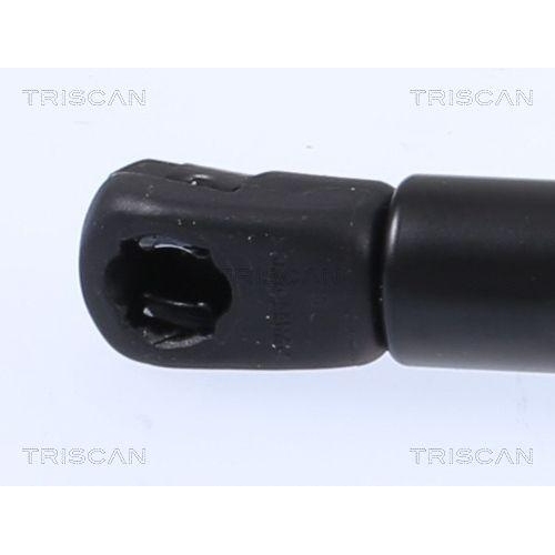 Gasfeder, Koffer-/Laderaum TRISCAN 8710 292056 f&uuml;r AUDI, hinten links