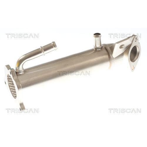 K&uuml;hler, Abgasr&uuml;ckf&uuml;hrung TRISCAN 8813 16117 f&uuml;r FORD HITACHI