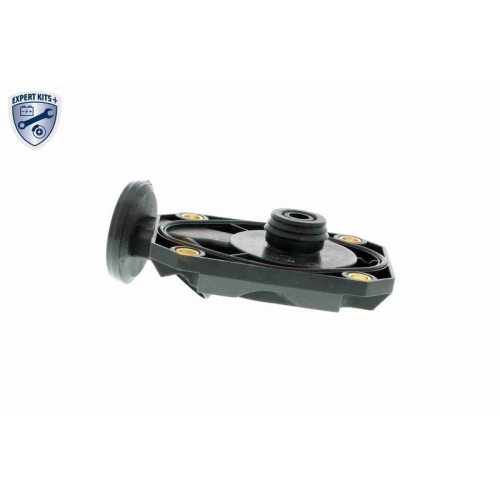 Ventil, Kurbelgehäuseentlüftung VAICO V20-1512 EXPERT KITS + für BMW, rechts