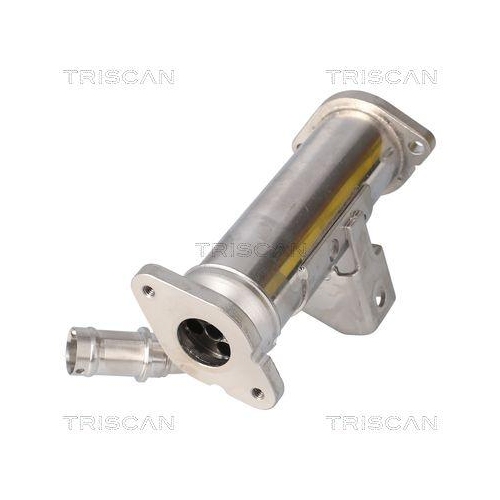 Kühler, Abgasrückführung TRISCAN 8813 17101 für LAND ROVER, links