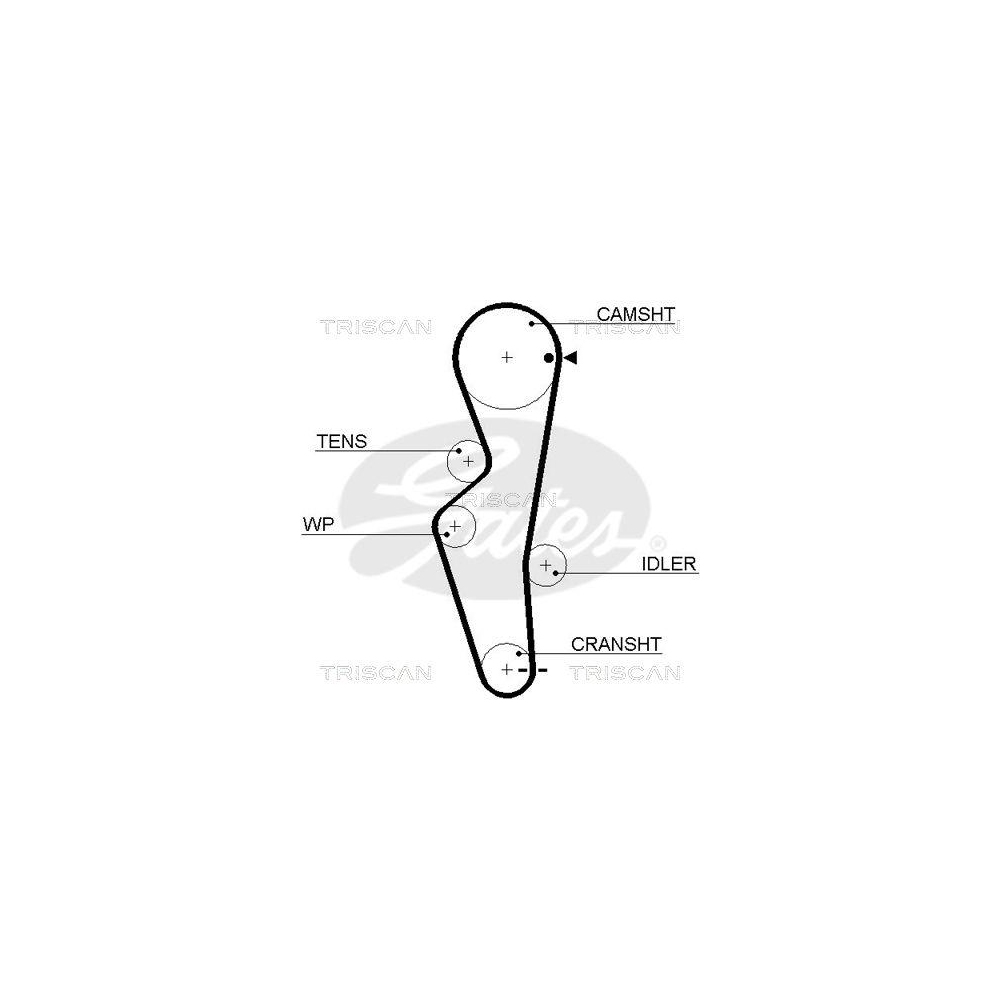 Zahnriemen TRISCAN 8645 5430xs f&uuml;r DANA
