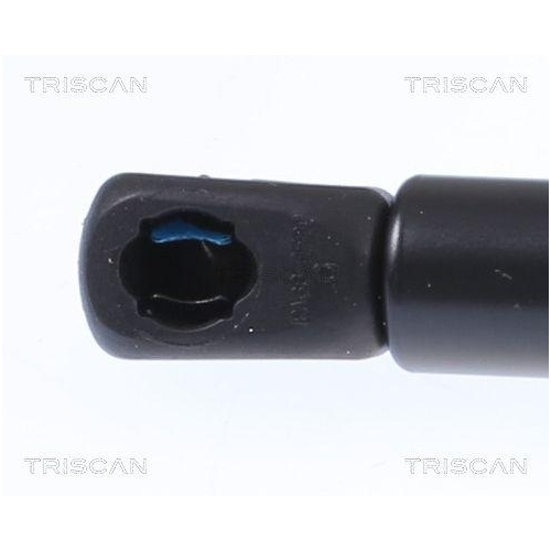 Gasfeder, Koffer-/Laderaum TRISCAN 8710 292059 f&uuml;r AUDI, hinten links