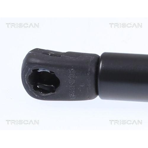 Gasfeder, Koffer-/Laderaum TRISCAN 8710 292061 für AUDI, hinten links