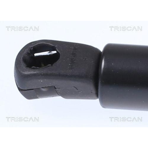 Gasfeder, Koffer-/Laderaum TRISCAN 8710 292062 für SEAT CUPRA, hinten links