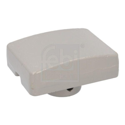 FEBI BILSTEIN Verschlei&szlig;platte, Blattfeder 192647 f&uuml;r DAF