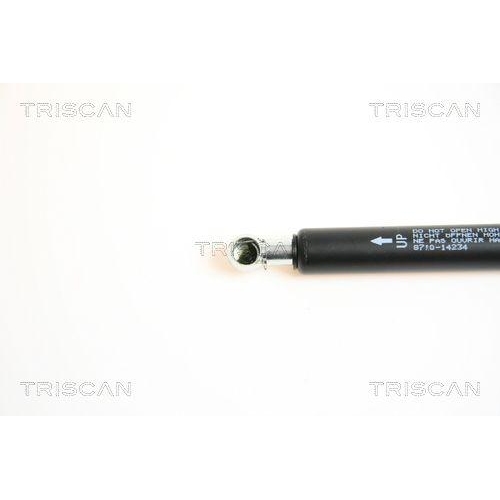 Gasfeder, Koffer-/Laderaum TRISCAN 8710 14234 für NISSAN