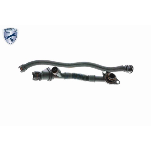 K&uuml;hlerschlauch VAICO V20-3291 EXPERT KITS + f&uuml;r BMW, oben