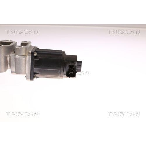 AGR-Ventil TRISCAN 8813 24017 f&uuml;r